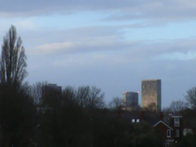 Buildings behind Cannon Hill Park
